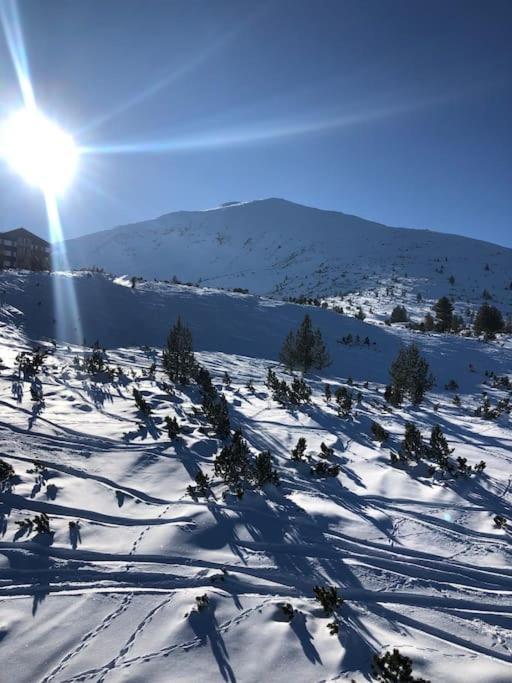 Breathtaking Mountain View 3 Bedrooms Appartement Bansko Eksteriør billede