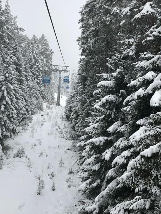 Breathtaking Mountain View 3 Bedrooms Appartement Bansko Eksteriør billede